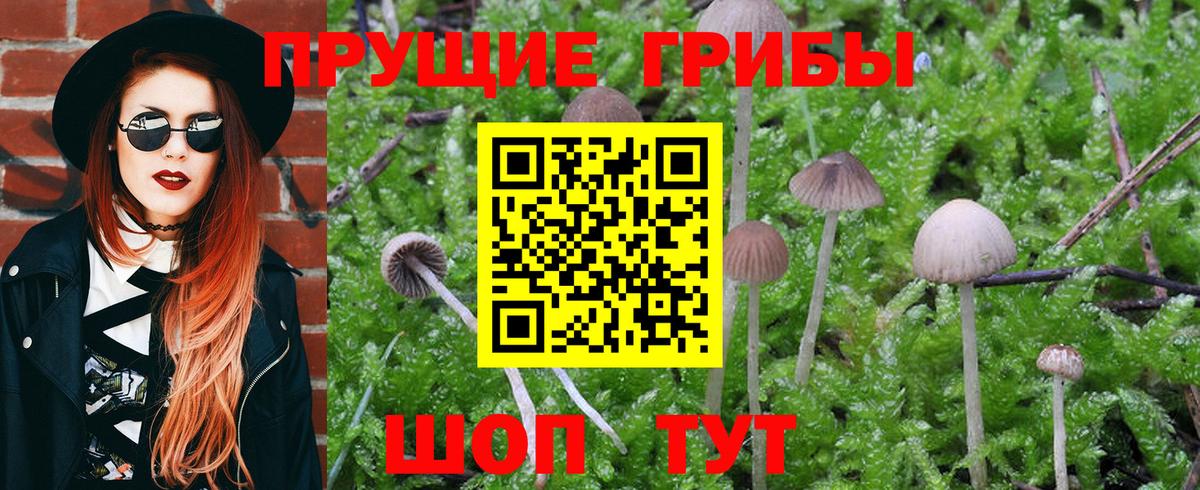 Галлюциногенные грибы Magic Shrooms Кашира