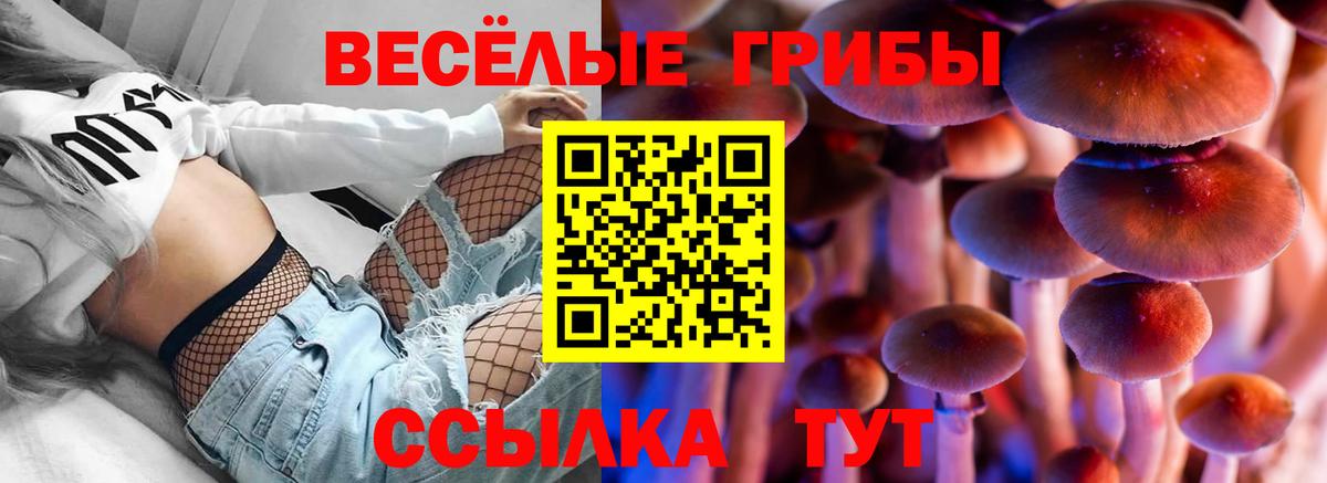 Галлюциногенные грибы мухоморы  Вход с VPN  Кашира 